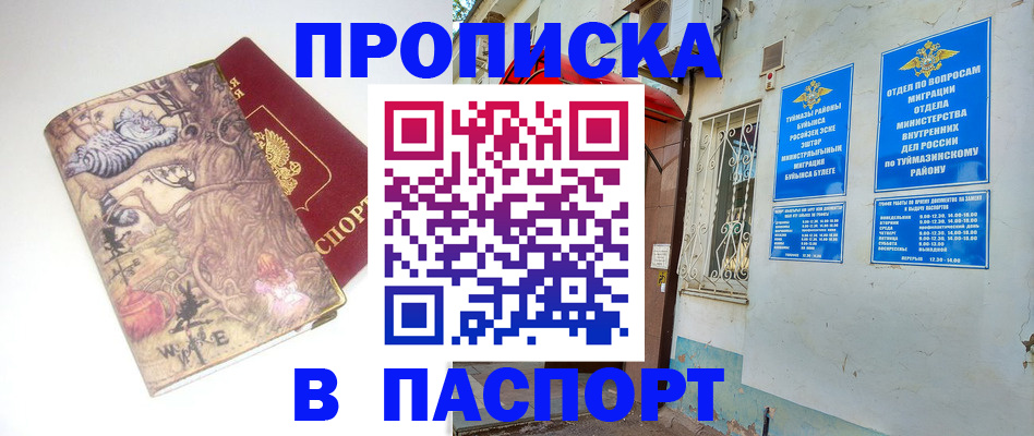 пропишу в квартире в Мурино